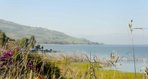 Photo 04 - Sea of Galilee