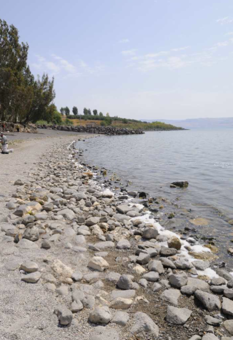 Photo 106 - Galilee Shore