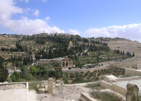 Photo 127 - Mt of Olives
