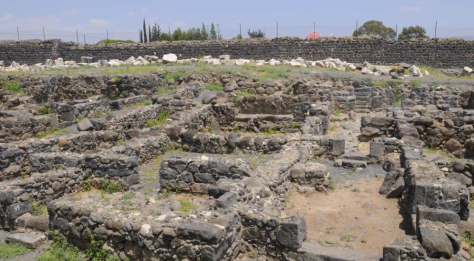 Photo 28 - Capernaum