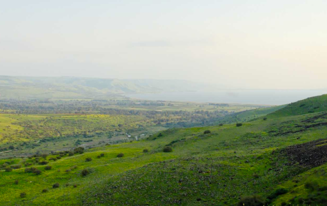 Photo 29 - Plain of Bethsaida