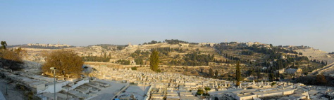 Photo 52 - Mount of Olives
