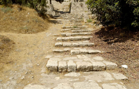 Photo 61 - Steps to Caiaphas House